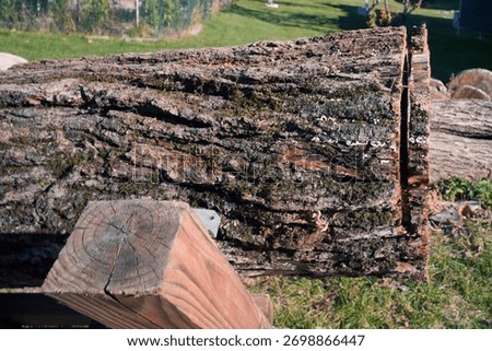 Log with a Cut In It