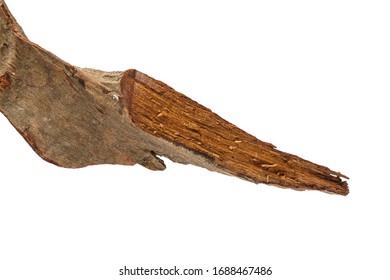 Log Dalbergia Cochinchinensis Isolated On White Stock Photo 1688467486 ...