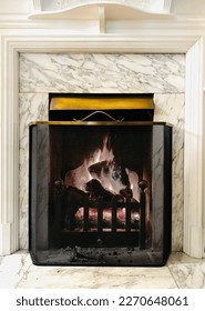 Log fire with a fire guard in front of it