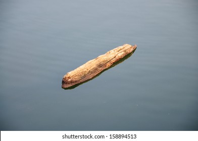 A Log Floating On Water