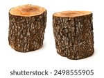 log isolated on a white background