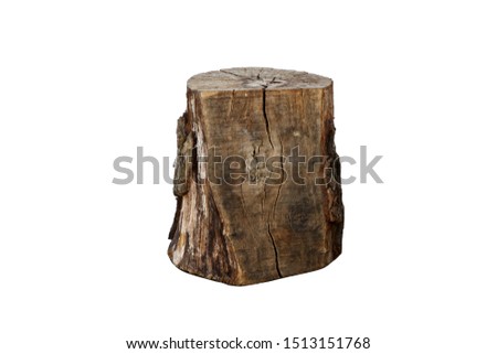 Log isolated on a white background