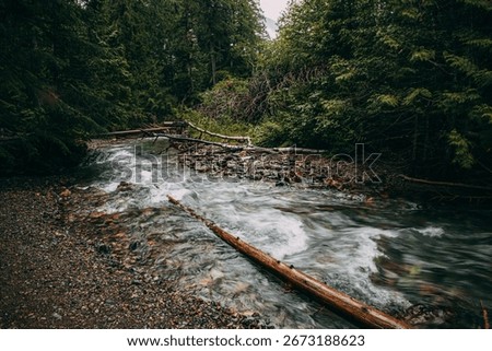 Log Jam in Mountain Stream