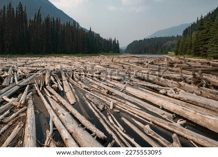 Log Jam on Canadian River Stock photo © 