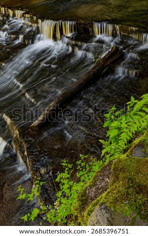 A log lays at the base of a small ledge falls just below Lucifer Falls in Enfield Gorge, Robert Treman State Park, Tompkins County, New York