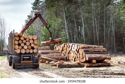 Log Loader Or Forestry Machine Loads A Log Truck