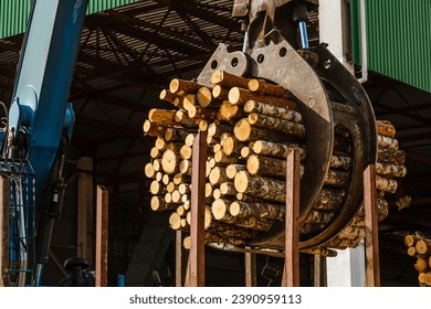 Log loader or forestry machine loads a log truck - Powered by Shutterstock