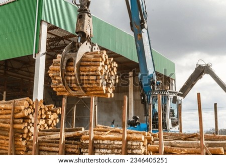 Log loader or forestry machine loads a log truck