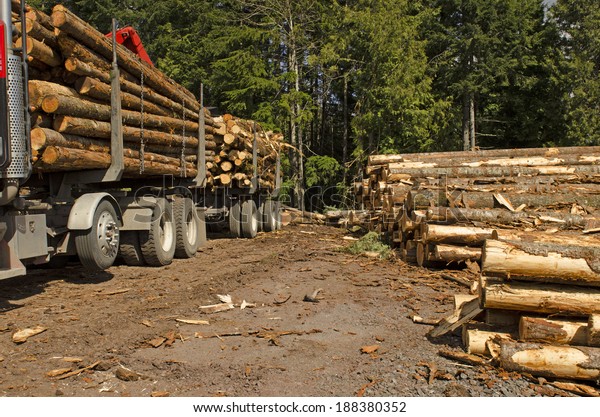 Logging truck driving jobs oregon