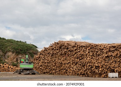 Log Loader With Log Pile, Log Stacker, Forestry