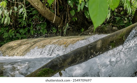 A  log in the middle of a small waterfall cascading over mossy rocks, surrounded by lush green foliage.