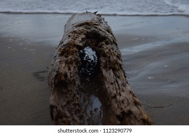 Log on the beach