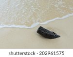 A log on a sandy beach