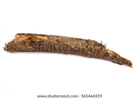 log on white background