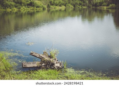A log is peacefully floating in the middle of a pristine lake, surrounded by lush terrestrial plants and green grass on the banks of the lacustrine plain