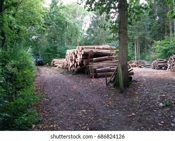 Log Pile