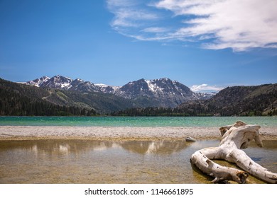 Log Resting Near Reflection Of Sierra Nevadas On June Lake, Ca.