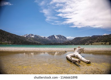 Log Resting Near Reflection Of Sierra Nevadas On June Lake, Ca.