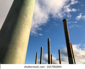 Log & Sky