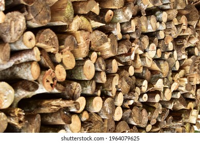 Log spruce trunks pile. Sawn trees from the forest. Logging timber wood industry. Cut trees along a road prepared for removal. Rustic wooden posts stack of outdoor. Pile of firewood.