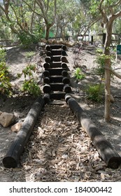 Log Steps