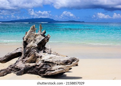 a log that stranded on the edge of a very beautiful and blue beach located in the Indonesian archipelago