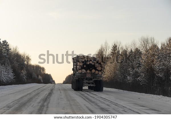 A Log truck\
is on the snowy road in winter\
day