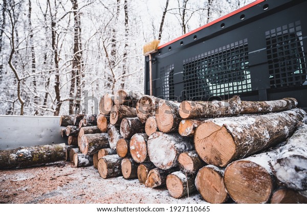 Log trunks pile, the logging timber forest wood\
industry. Banner of wood trunks timber harvesting in forest. Log\
trunks pile on car.