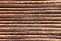 Log Wall. Light Wooden Wall. Environmentally Friendly House. Wooden Blockhouse. Wood Fibers. Logs. Fresh Wood Wall. Log Cut. Rustic Wooden Cabin. Tree Knots. Hardwood. Copy Space. Wood Texture
