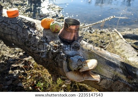 Log with wild mushrooms, copper cezve and fruits, outdoor recreation by the lake