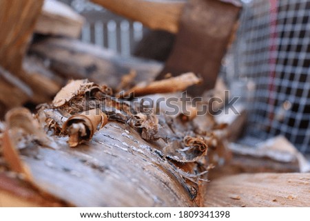 Similar – Image, Stock Photo wood Environment Nature