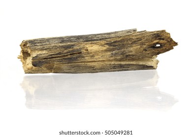 Log Wood On White Background