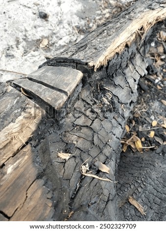 Similar – Image, Stock Photo When coal was still being delivered … Dilapidated Berlin apartment building with “Koks” written on it.