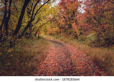 Logan Canyon In The Fall