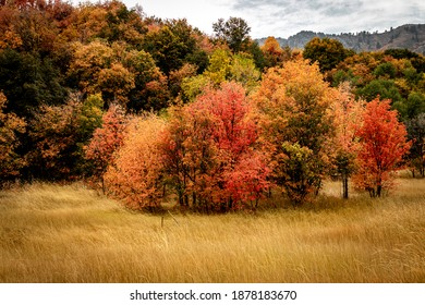 Logan Canyon In The Fall