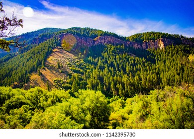 Logan Canyon In Summer