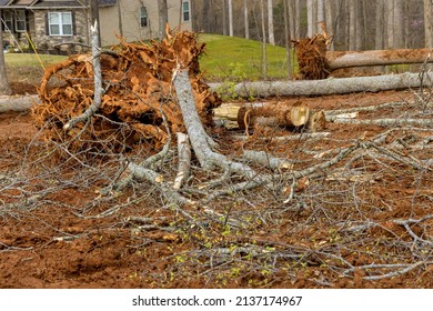 Loggers Clearing Forest With Preparation Land For New Residential Construction Homes