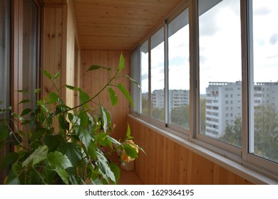 The Loggia (balcony) Of The City House Is Covered With Light Wooden Slats. On The Loggia There Is A Device For Drying Clothes And A Pot With A Large Home Plant.