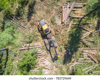 Logging From Aerial View, Siberian Forest.