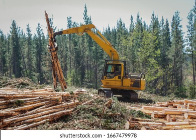 Logging  Equipment Forestry Industry Machine 