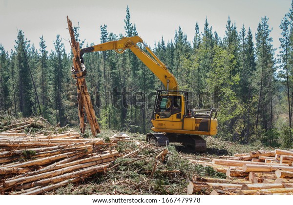 Logging Equipment Forestry Industry Machine Stock Photo (Edit Now ...