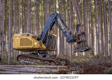 Logging Equipment Forestry Machine Timber Harvesting