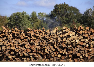 Logging Industry Meridian Mississippi