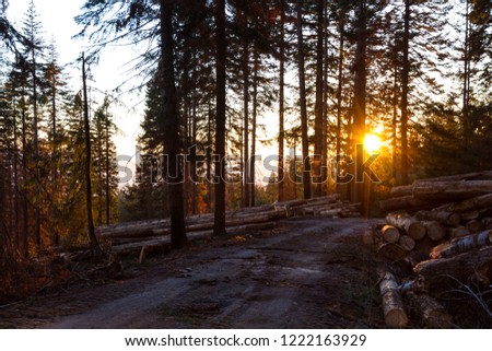 Similar – Image, Stock Photo The mountain burns Nature