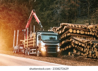Logging Operations in the Swiss Alps: Loading Logs onto Hydraulic Machinery on a Logging Truck