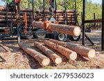 Logging Operations in Ukraine: Loading Logs onto Hydraulic Machinery on a Logging Truck