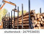Logging Operations in Ukraine: Loading Logs onto Hydraulic Machinery on a Logging Truck
