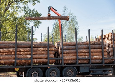Logging Operations in Ukraine: Loading Logs onto Hydraulic Machinery on a Logging Truck