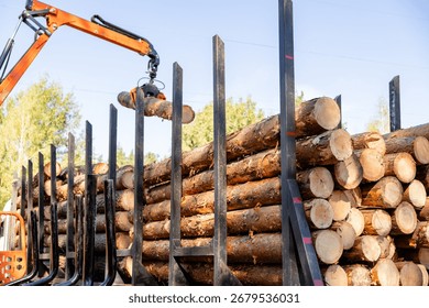 Logging Operations in Ukraine: Loading Logs onto Hydraulic Machinery on a Logging Truck
