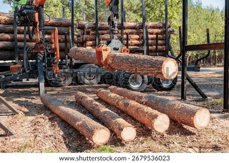 Logging Operations in Ukraine: Loading Logs onto Hydraulic Machinery on a Logging Truck